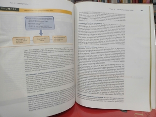 PRINCIPLES OF ORGANIZATIONAL BEHAVIOR - JOHN W. SLOCUM, DON HELLRIEGEL