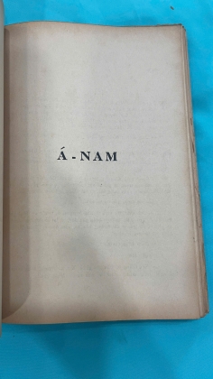 SỐNG VÀ VIẾT - NGUIỄN NGU Í