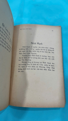 ĐI VÀO CÕI THƠ - BÙI GIÁNG