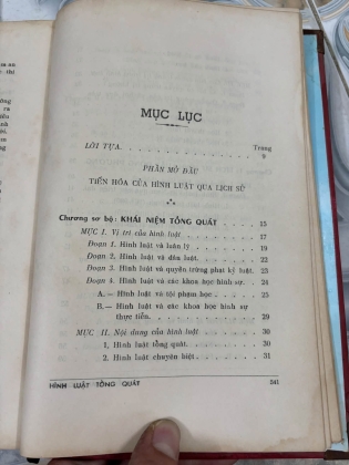 HÌNH LUẬT TỔNG QUÁT - NGUYỄN QUANG QUÝNH