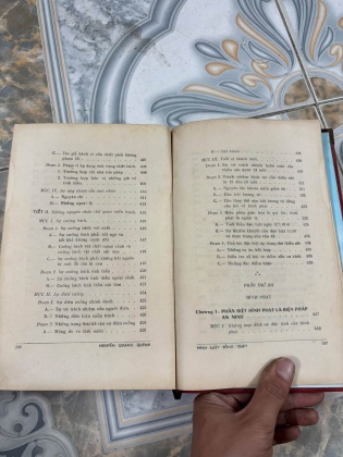 HÌNH LUẬT TỔNG QUÁT - NGUYỄN QUANG QUÝNH