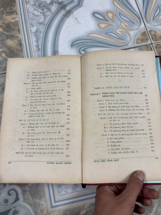 HÌNH LUẬT TỔNG QUÁT - NGUYỄN QUANG QUÝNH
