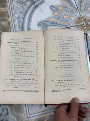 HÌNH LUẬT TỔNG QUÁT - NGUYỄN QUANG QUÝNH