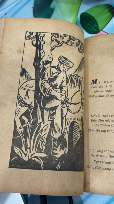 ĐỒI THÔNG HAI MỘ - VŨ ĐÌNH TRUNG