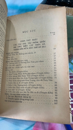 VIỆT NAM VĂN HỌC GIẢNG BÌNH - PHẠM VĂN DIÊU