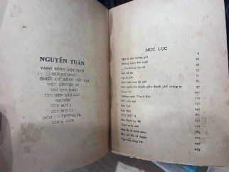 TÙY BÚT - NGUYỄN TUÂN