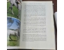 THE AUSTRALIAN AND NEW ZEALAND THOROUGHBRED - ROSS, BOURG