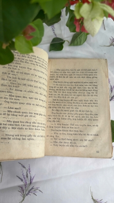 GIÔNG TỐ - VŨ TRỌNG PHỤNG