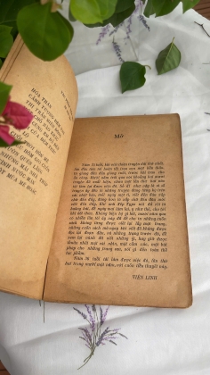 HẠ ĐỎ CÓ CHÀNG TỚI HỎI - VIÊN LINH