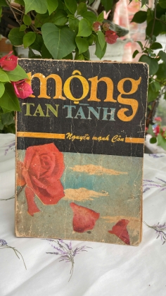 MỘNG TAN TÀNH - NGUYỄN MẠNH CÔN