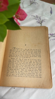 MỘNG TAN TÀNH - NGUYỄN MẠNH CÔN