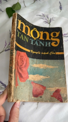 MỘNG TAN TÀNH - NGUYỄN MẠNH CÔN