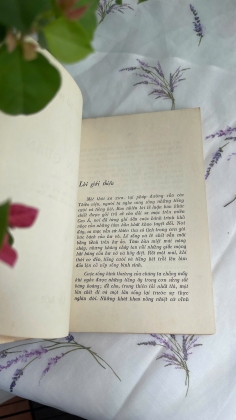 VÔ MÔN QUAN - TRẦN TUẤN MẪN