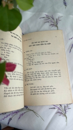 VÔ MÔN QUAN - TRẦN TUẤN MẪN