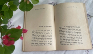 NHỮNG BÀI THƠ XUÔI - MAI TRUNG TĨNH 