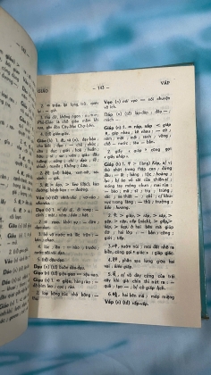 VIỆT NGỮ CHÁNH TẢ TỰ VỊ - LÊ NGỌC TRỤ