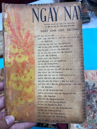VĂN HOÁ NGÀY NAY - NHẤT LINH 