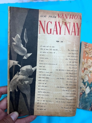 VĂN HOÁ NGÀY NAY - NHẤT LINH 