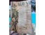 VĂN HOÁ NGÀY NAY - NHẤT LINH 