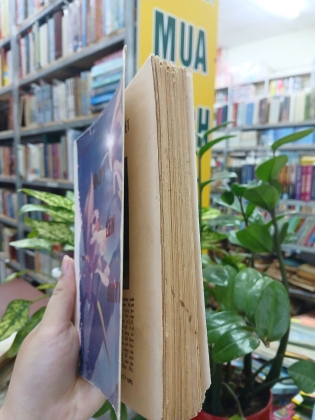 ĐỜI LÊN HƯƠNG - HOÀNG XUÂN VIỆT 