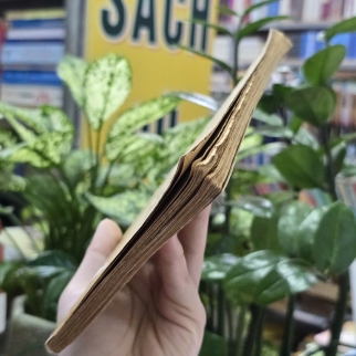 KÝ ỨC CỦA CON VỆN - TRẦN TIÊU 