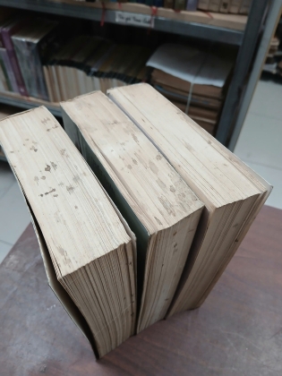 HÁN CUNG HAI MƯƠI TÁM TRIỀU (TRỌN BỘ) - TỪ TRIẾT THÂN - DỊCH: ÔNG VĂN TÙNG NGUYỄN BÁ THÍNH
