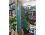NHỮNG VẤN ĐỀ CĂN BẢN CỦA CHÍNH TRỊ - LESLIE LIPSON (ĐẶNG TÂM DỊCH)