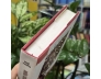 NHỮNG TIẾNG TRỐNG QUA CỬA CÁC NHÀ SẤM (BÌA CỨNG) - HUỆ THIÊN