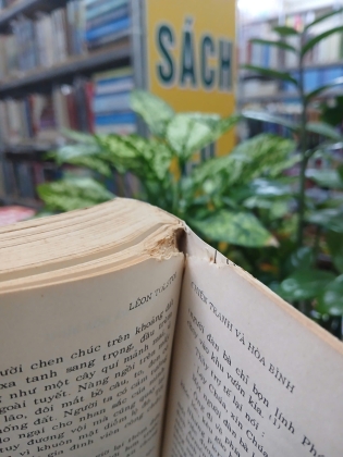 CHIẾN TRANH VÀ HÒA BÌNH - NGUYỄN HIẾN LÊ