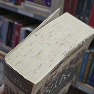 NHỮNG CON ĐƯỜNG TƠ LỤA ( THE SILK ROADS) - PETER FRANKOPAN ( TRẦN TRỌNG HẢI MINH DỊCH)