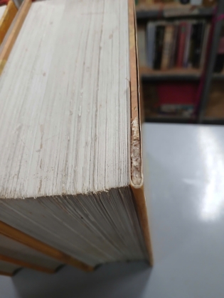 KHÂM ĐỊNH TIỄU BÌNH LƯỠNG KÌ NGHỊCH PHỈ PHƯƠNG LƯỢC CHÍNH BIÊN