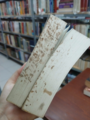 NỀN DÂN TRỊ MỸ - TOCQUEVILLE (PHẠM TOÀN DỊCH)