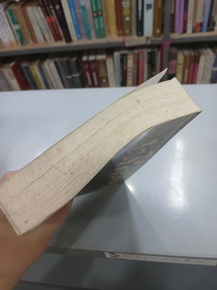 AN NAM CHÍ LƯỢC - LÊ TẮC 