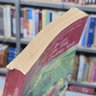 NHỮNG CẤU TRÚC SINH HOẠT THƯỜNG NGÀY - FERNAND BRAUDEL 