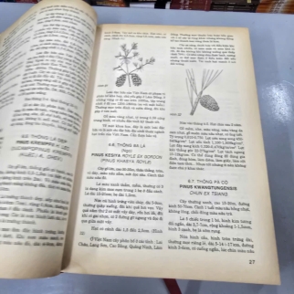 TÀI NGUYÊN CÂY GỖ VIỆT NAM ( BÌA CỨNG) - TRẦN HỢP