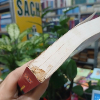MỘT SỐ VĂN BẢN ĐIỂN CHẾ VÀ PHÁP LUẬT VIỆT NAM (TẬP 1 + TẬP 2) - NGUYỄN NGỌC NHUẬN
