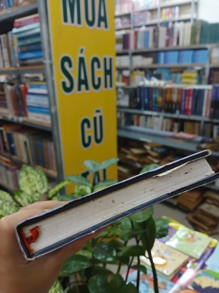 THEO CHÂN NGƯỜI TÌNH & MỘT MẢNH TÌNH RIÊNG (BÌA CỨNG) - SƠN NAM