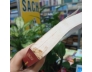 MỘT SỐ VĂN BẢN ĐIỂN CHẾ VÀ PHÁP LUẬT VIỆT NAM (TẬP 1 + TẬP 2) - NGUYỄN NGỌC NHUẬN