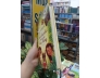 CON CHÓ NHỎ MANG GIỎ HOA HỒNG - NGUYỄN NHẬT ÁNH (BẢN ĐẶC BIỆT)