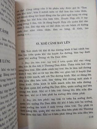 ĐẠI NHẠN KHÍ CÔNG - DƯƠNG MAI QUÂN