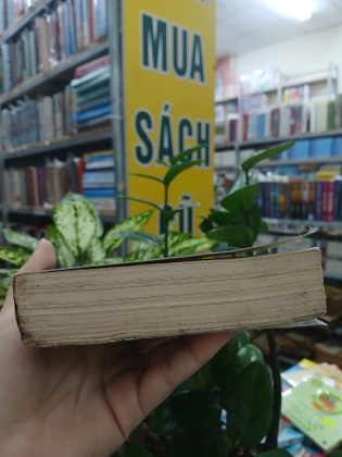 VIỆT NAM CA TRÙ BIÊN KHẢO - ĐỖ BẰNG ĐOÀN, ĐỖ TRỌNG HUỀ 