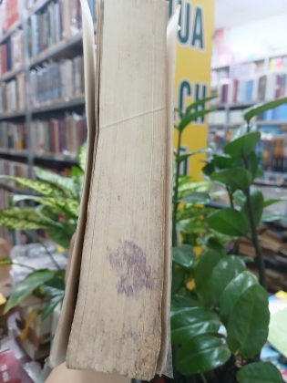 VIỆT NAM CA TRÙ BIÊN KHẢO - ĐỖ BẰNG ĐOÀN, ĐỖ TRỌNG HUỀ 