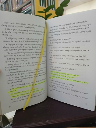 VEDA UPANISHAD NHỮNG BỘ KINH TRIẾT LÝ TÔN GIÁO CỔ ẤN ĐỘ (BÌA CỨNG) - DOÃN CHÍNH
