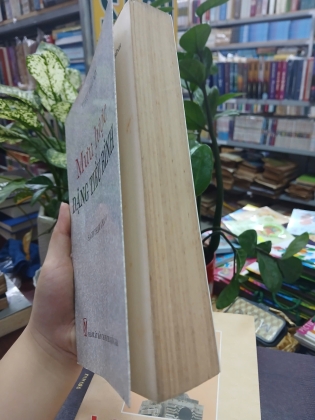 MƯU LƯỢC ĐẶNG TIỂU BÌNH - TIÊU THI MỸ