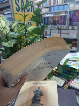 MƯU LƯỢC ĐẶNG TIỂU BÌNH - TIÊU THI MỸ