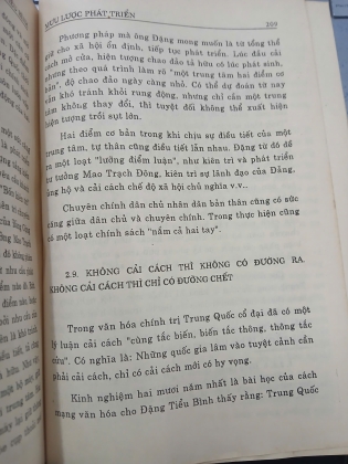 MƯU LƯỢC ĐẶNG TIỂU BÌNH - TIÊU THI MỸ