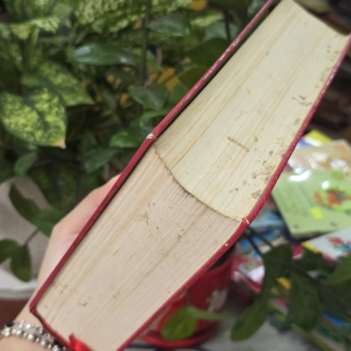ĐẠI NAM THỰC LỤC TẬP 1 (BÌA CỨNG) - NGUYỄN NGỌC TỈNH DỊCH