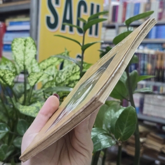 BẦY ONG TRONG ĐÊM SÂU - LƯU QUANG VŨ