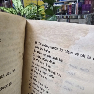 BẦY ONG TRONG ĐÊM SÂU - LƯU QUANG VŨ