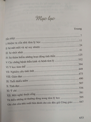 NHỮNG THÀNH TỰU LẪY LỪNG TRONG TÂM LÝ HỌC HIỆN ĐẠI - PIERRE DACO (BÌA CỨNG)